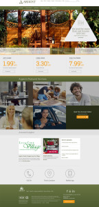 Argent Credit Union website design