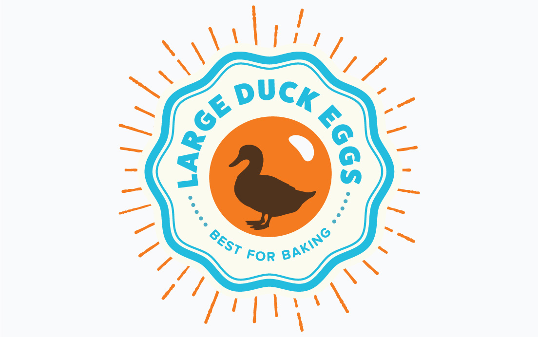 Logo Design for Duck Duck Eggs