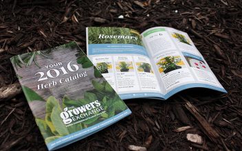 Catalog Design  for The Growers Exchange