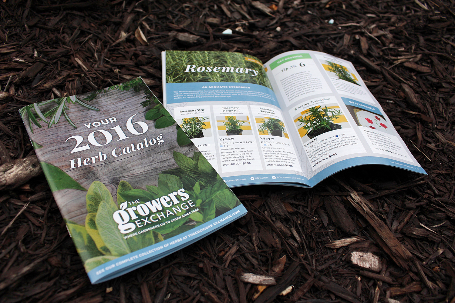 Catalog Design for The Growers Exchange