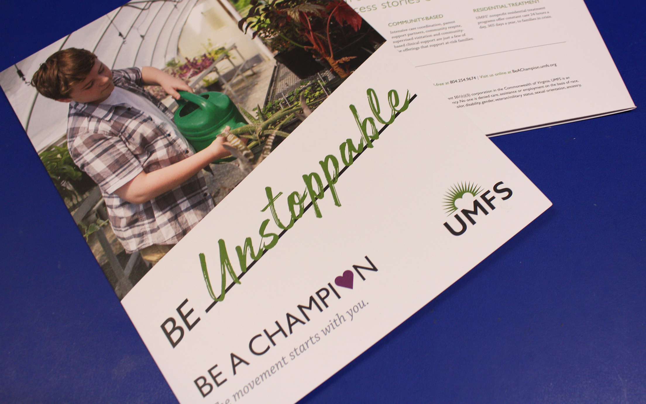 Capital Campaign Collateral for UMFS