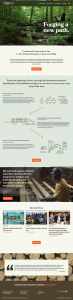 Continental Underwriters Website