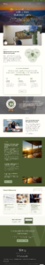 verus financial partners website design